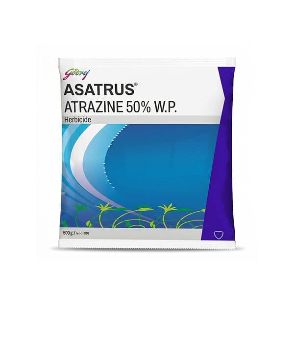 Asatrus