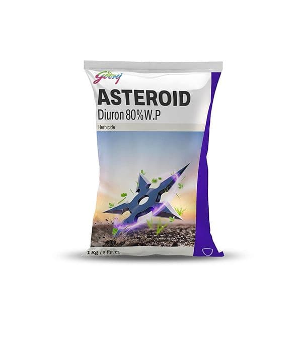 Asteroid