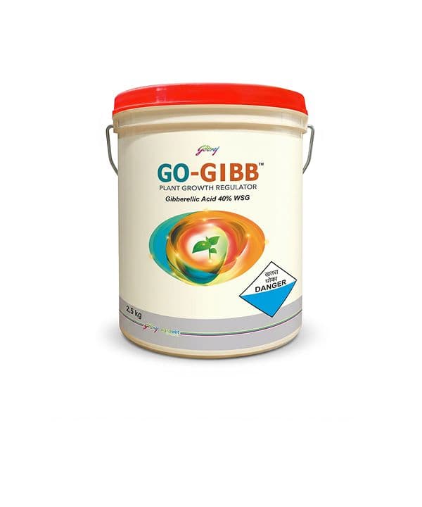 Go-Gibb