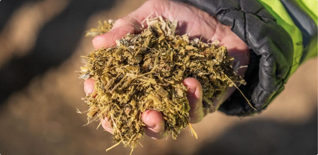 Fertilizers and Organic Manures