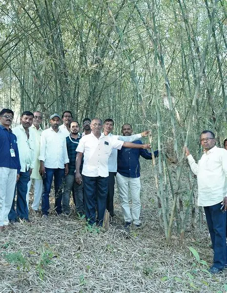 Farmer Sourcing Programme