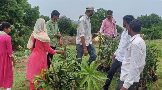 Sustainability Excellence