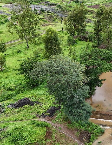 Climate and Resource  Stewardship