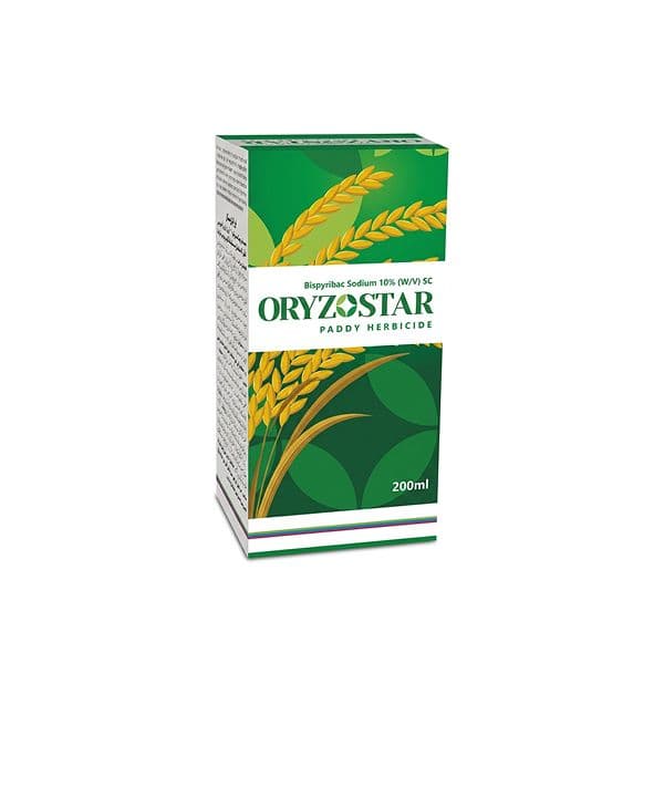 Oryzostar