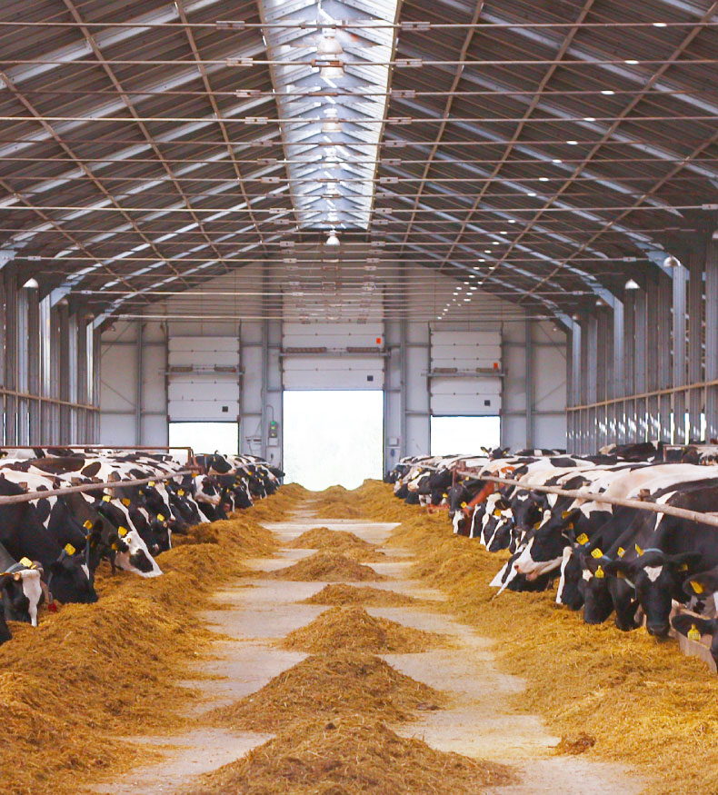 ACI Godrej Agrovet