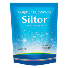 Plant Growth Regulators and Bio-Stimulants