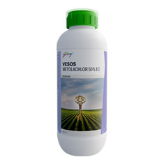 Plant Growth Regulators and Bio-Stimulants