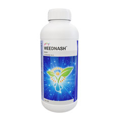 Plant Growth Regulators and Bio-Stimulants