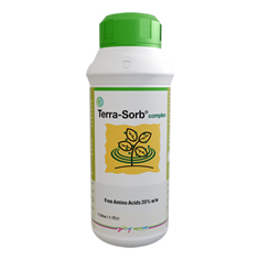 Plant Growth Regulators and Bio-Stimulants